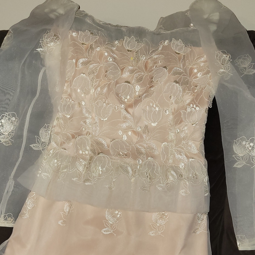 Stunning Rizik's Brothers Emodiery Dress